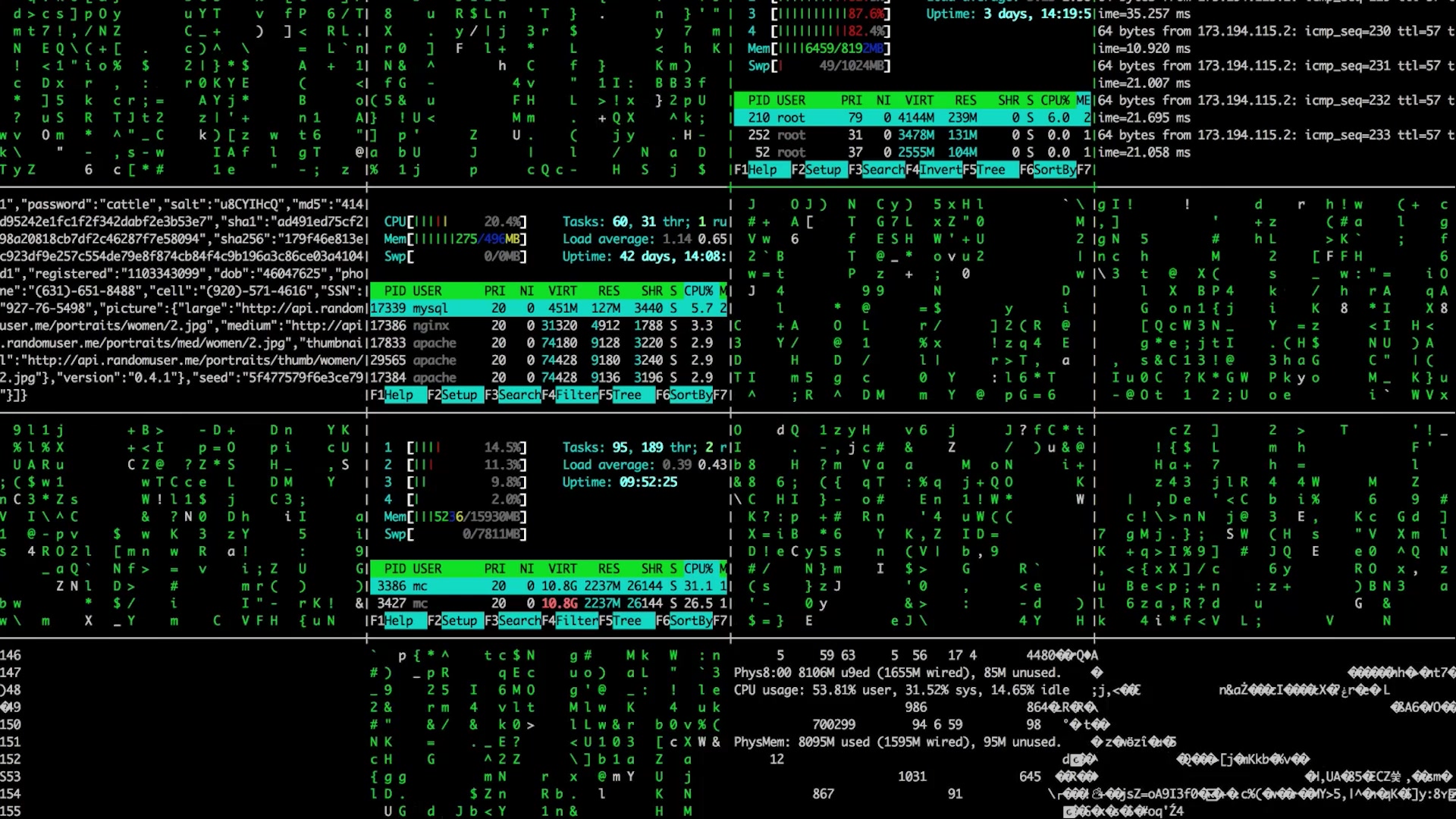 code pack.mp4